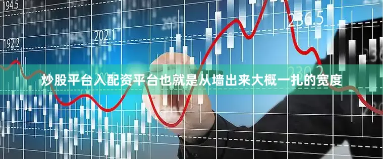 炒股平台入配资平台也就是从墙出来大概一扎的宽度